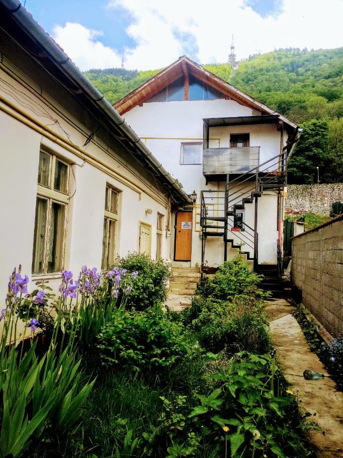 Downtown Hostel Brasov Luaran gambar